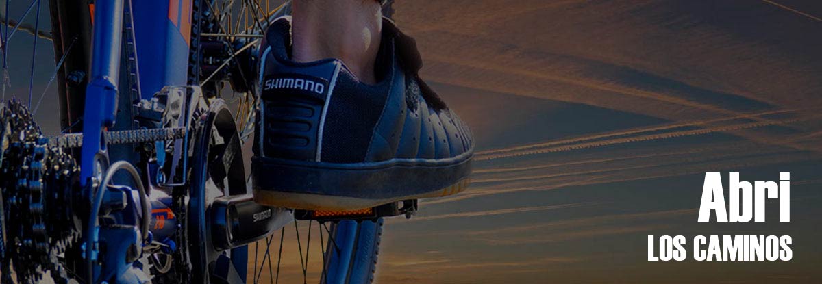 zapatillas